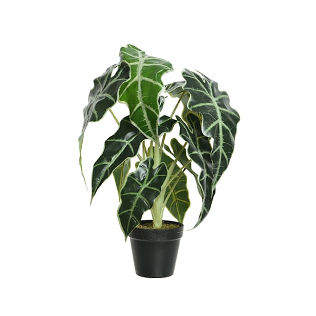 Planta Alocasia artificial