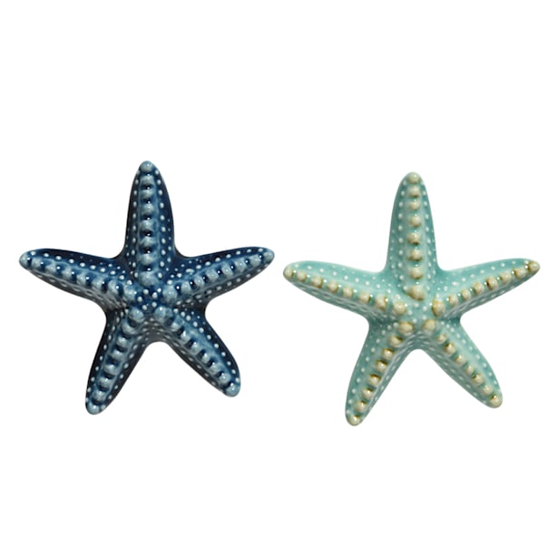 Estrella de mar porcelana