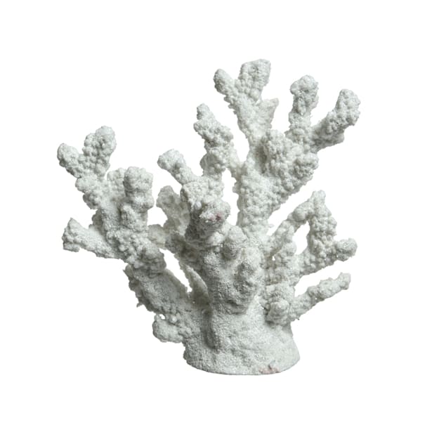 Figura coral blanco