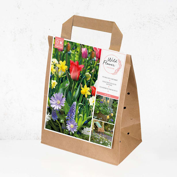 Bolsa 40 bulbos spring mix rockery