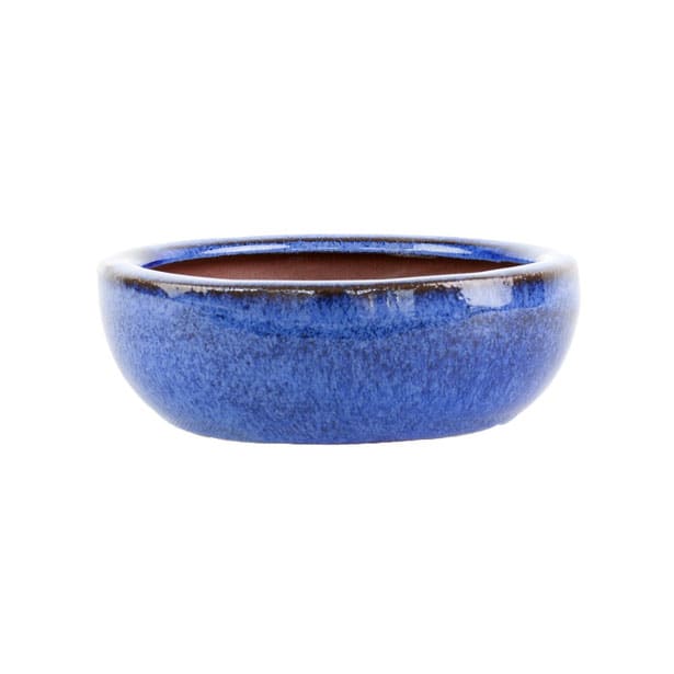 Maceta Esmaltada Azul Bowl - Fronda Selección