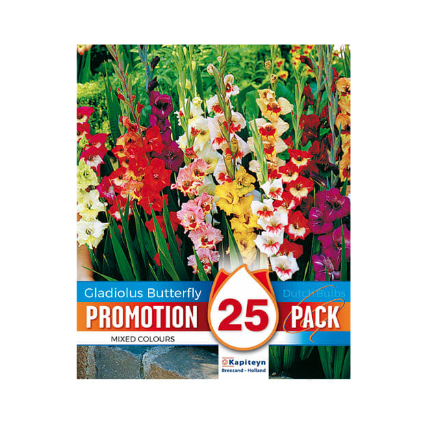 Bolsa 25 promotion gladiolus butterfly