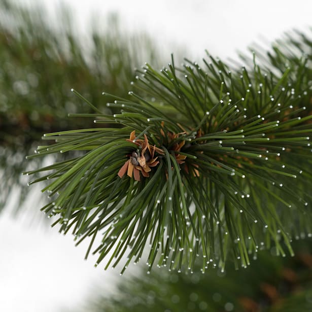 Mini Árbol de Navidad Artificial Forest invertido