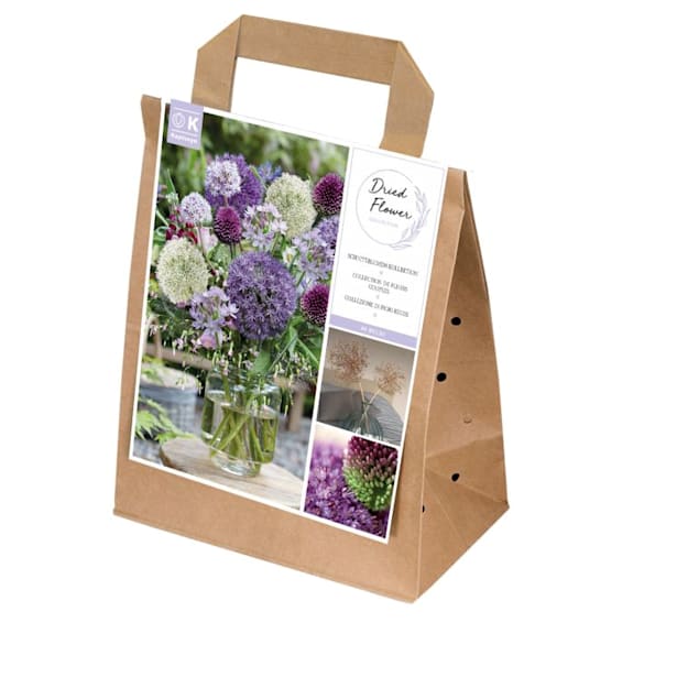 Bolsa 40 bulbos spring collection dry flower