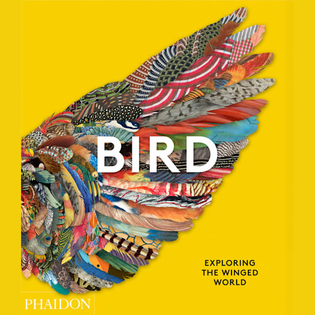 Libro Bird Exploring The Winged World