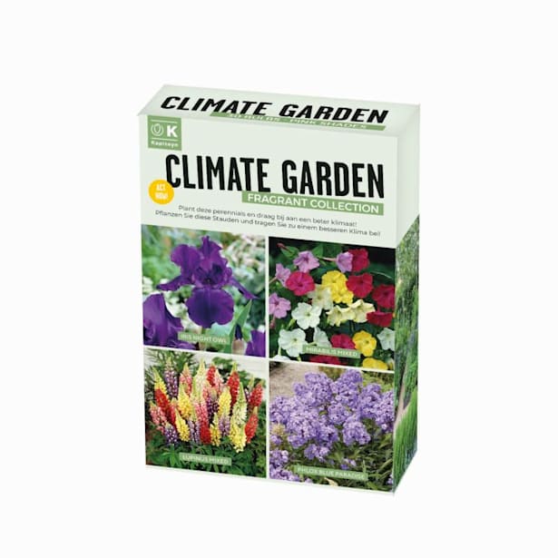 Bulbos Climate Garden Fragant Box 10uds