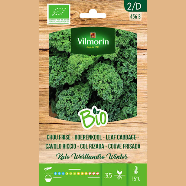 Semillas Col Rizada (Kale) Bio Vilmorin