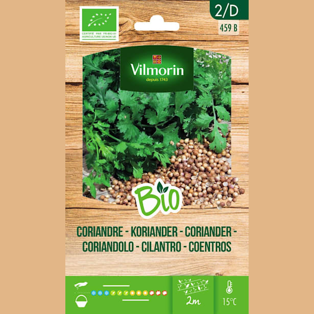 Semillas Cilantro Bio Vilmorin