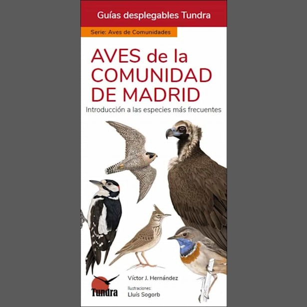 Libro Aves de la Comunidad de Madrid - Guía Desplegable Tundra