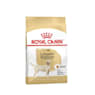 Royal canin labrador