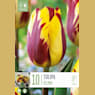 Bolsa 10 bulbos tulipanes triumph helmar