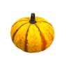 Calabaza de Halloween natural