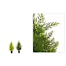 Árbol de Ciprés cedar Artificial - 60cm