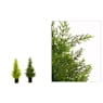 Árbol de Ciprés cedar Artificial - 77cm