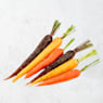 Zanahoria - Planta de huerto