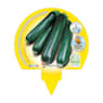 Calabacin - Pack de 6 plantas de huerto