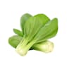 Pak choi - Planta de huerto