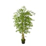 Árbol de Ficus hawai Artificial - 180cm