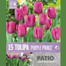 Bolsa patio 15 bulbos tulipanes triumph purple prince