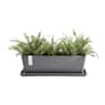 Plato bruges rectangular gris ecopots