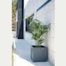 Herstera Metal Planter - Jardinera CUBE antracita