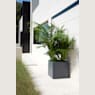 Herstera Metal Planter - Jardinera CUBE antracita