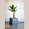 Herstera Metal Planter - Jardinera CUBE antracita