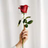 Bouquet Belleza Auténtica - 9 Rosas rojas