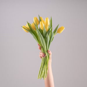 Ramillete de Tulipanes Amarillos