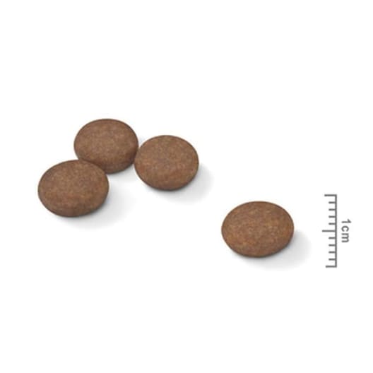 Royal canin mini digestive care