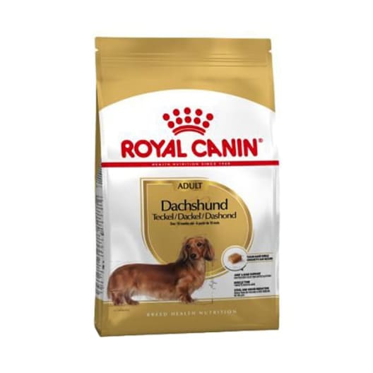 Royal canin teckel