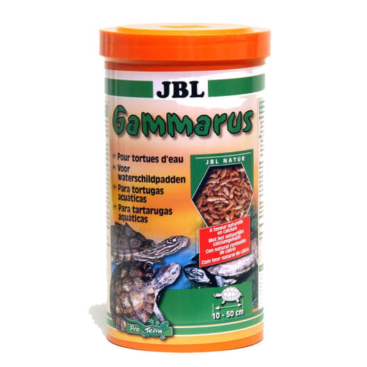 Gammarus jbl para tortuga