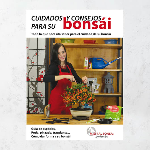 Guía cuidados y consejos bonsái