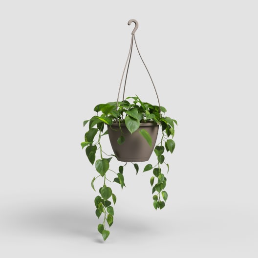 Maceta de plástico Artevasi taupe Algarve colgante