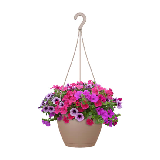 Maceta de plástico Artevasi taupe Algarve colgante