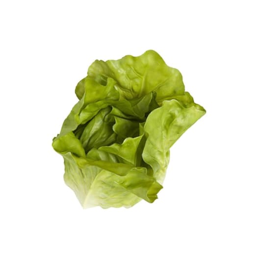 Lechuga romana artificial