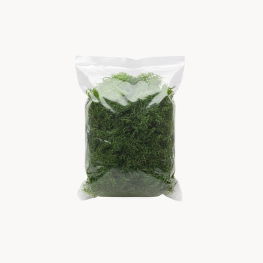 Musgo verde decorativo 50 g para Belén