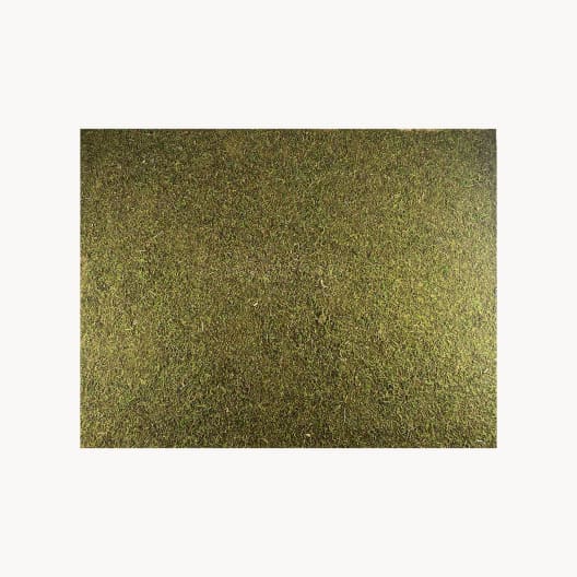 Tapiz de musgo 60×45 cm para Belén