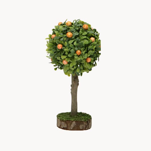 Naranjo 12 cm para Belén