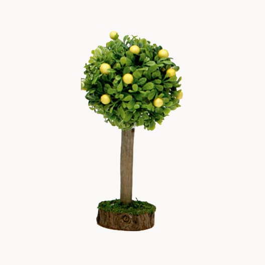 Limonero 12 cm para Belén