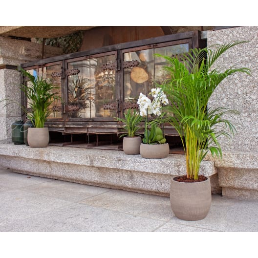 Cuenco hemera taupe