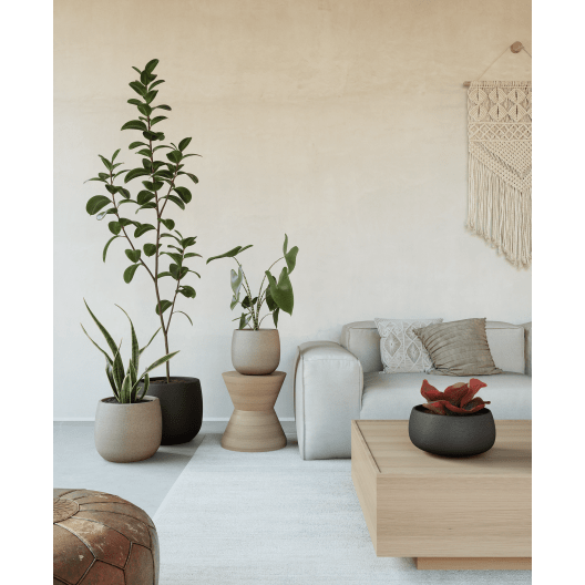 Cuenco hemera taupe