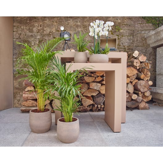 Cuenco hemera taupe