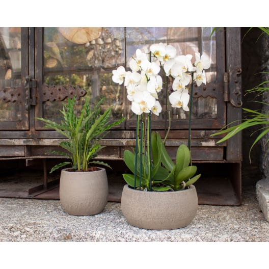 Cuenco hemera taupe