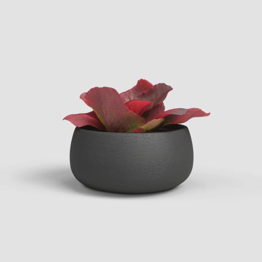 Cuenco hemera antracita