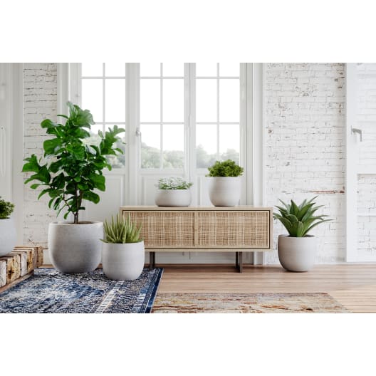 Cuenco hemera antracita