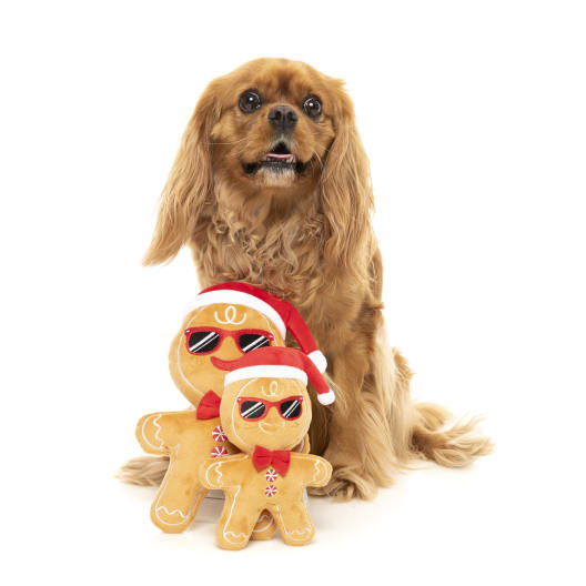 Peluche para Perros Blandito Muñeco de Jengibre