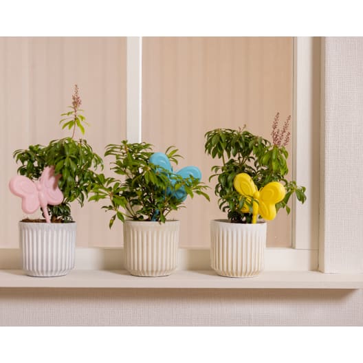 Sistema de Autorriego para Plantas (Mariposa)