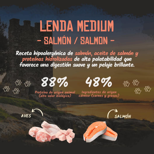 Pienso para perro Lenda Adult Salmón