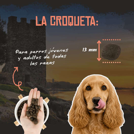 Pienso para perro Lenda Adult Salmón